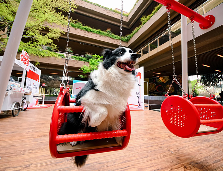 Парк для собак «Поухейвен»